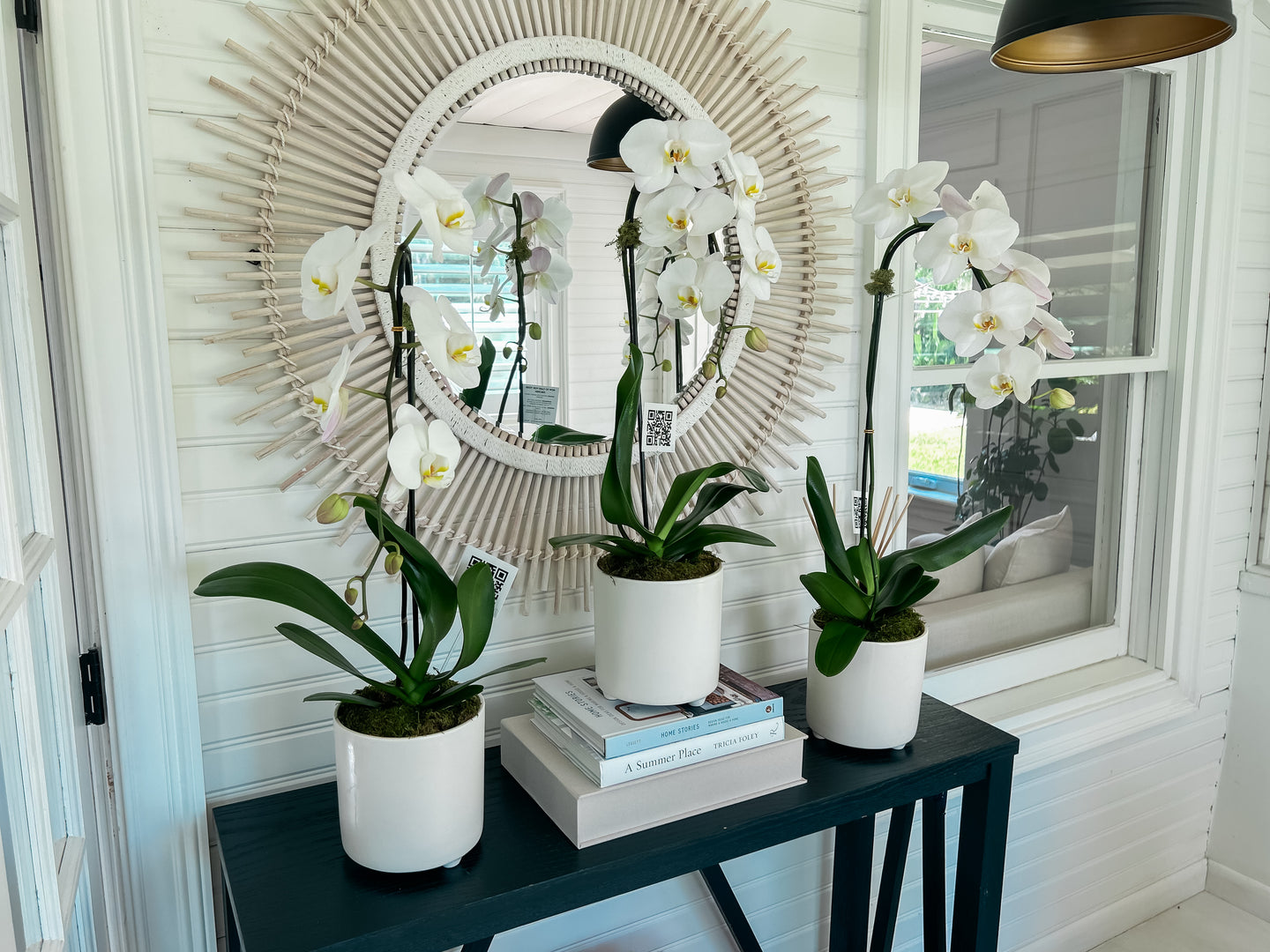 Individual orchids trio